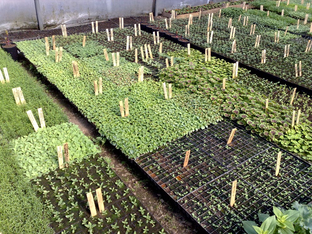 Screenshot_3.jpg