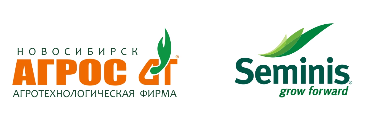 указатель_cr0.jpg