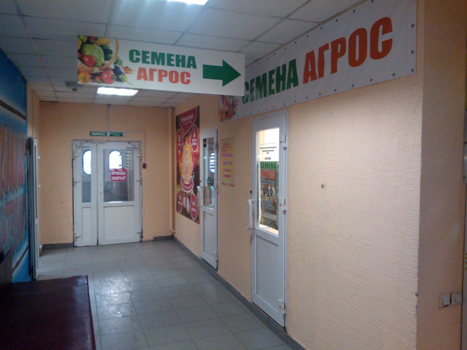 Золотая нива нива.jpg
