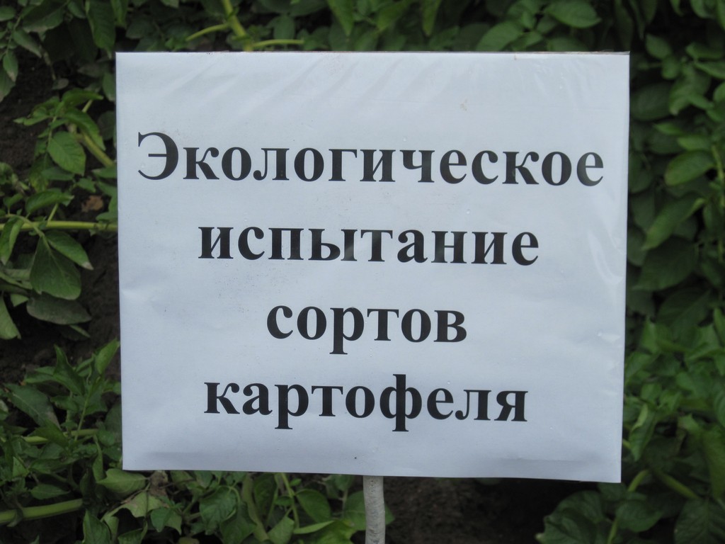 IMG_2790.JPG