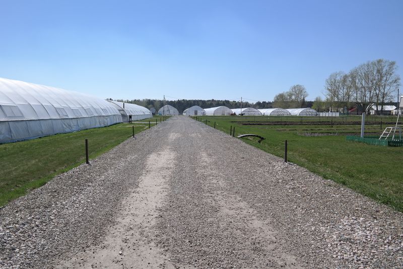 05.05.2014_43.JPG
