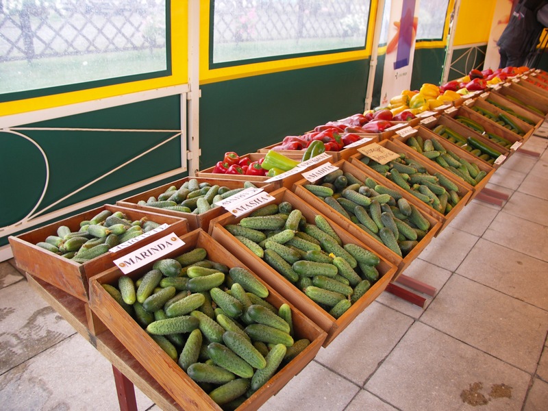 PICT0009.JPG