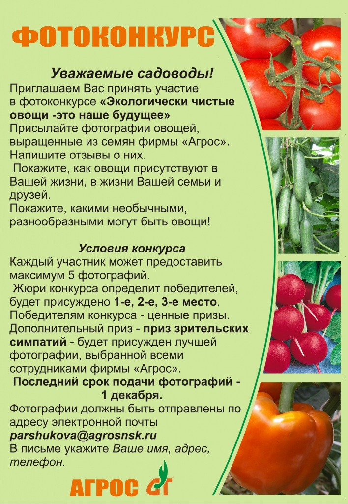 фотоконкурск1.jpg фотоконкурск1.jpg