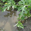DSC01484.JPG