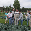 PICT0067_preview.JPG
