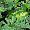 DSC01491.JPG