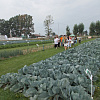 DSCN1611.JPG