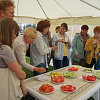 DSC09124.JPG