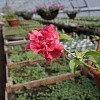 05.05.2014_37.JPG