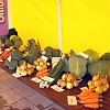 PICT0005_preview.JPG