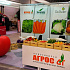IMG_4819_cr.jpg