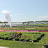 IMG_0555-1.jpg