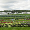 DSC02390.JPG