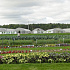 DSC02390.JPG