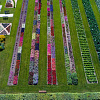 DJI_0340.jpg