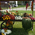 P1030876.JPG