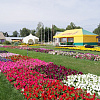 DSC08802.JPG