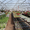 05.05.2014_35.JPG