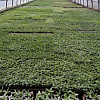 05.05.2014_42.JPG