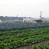 DSC08778.JPG