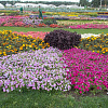DSCN1883.JPG