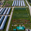 DJI_0354.jpg