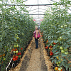 DSCN1718.JPG