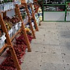 20150428_105427.jpg