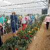 DSCN4915.JPG