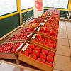 PICT0006_preview.JPG