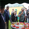 IMG_8980.JPG
