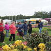 DSC00369.JPG