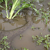 S1360012.JPG