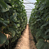 Screenshot_10.jpg