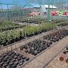 05.05.2014_09.JPG
