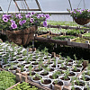 05.05.2014_36.JPG