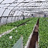20150425_115714.jpg