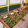 PICT0009_preview.JPG